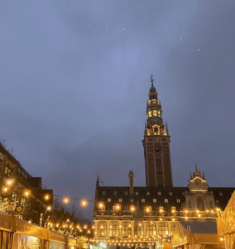 Leren IN of OVER de Leuvense Universiteitsbibliotheek?