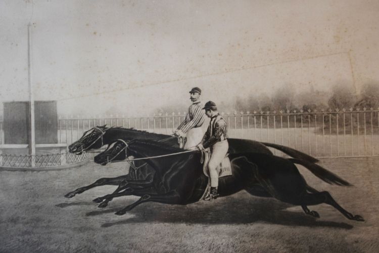 Sportimonium 1981