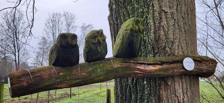 The Merelbekkers Routes: Stories of the Order of the Merelbekkers